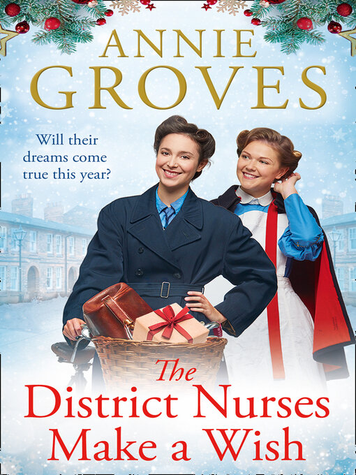 Cover image for The District Nurses Make a Wish